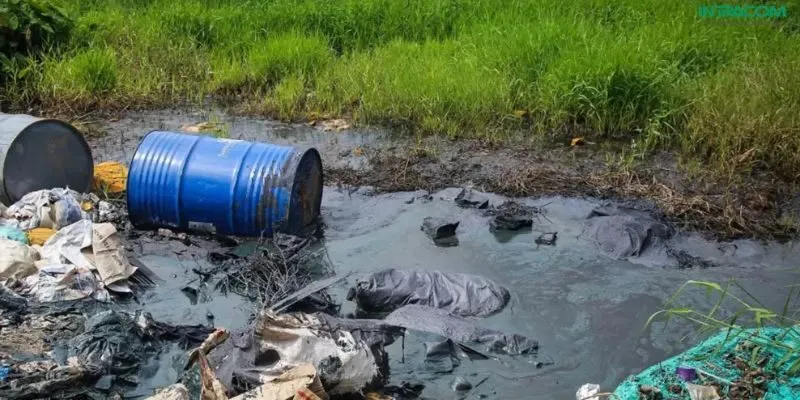 nguyên nhân gây viêm xoang ở trẻ em