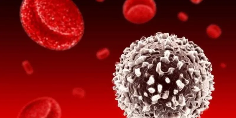 Nguyên nhân gây viêm mũi dị ứng